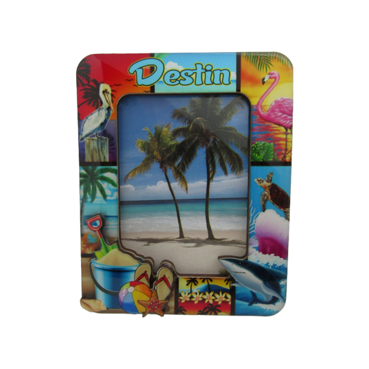 FR5001 3DFRAME DESTIN