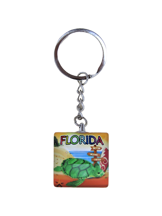 MK1104 FLORIDA SQUARE TURTLE