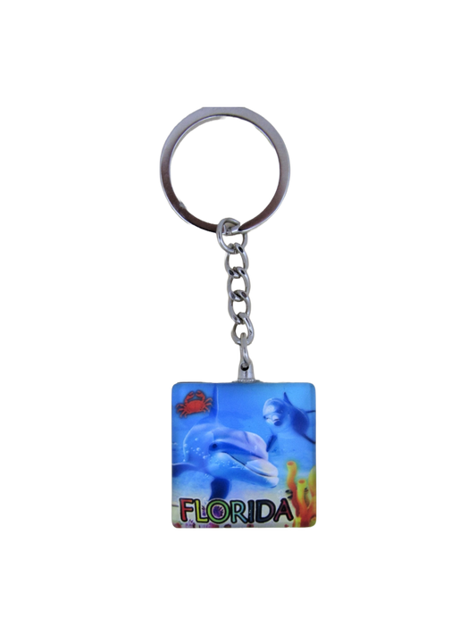 MK1105 FLORIDA SQUARE DOLPHINS