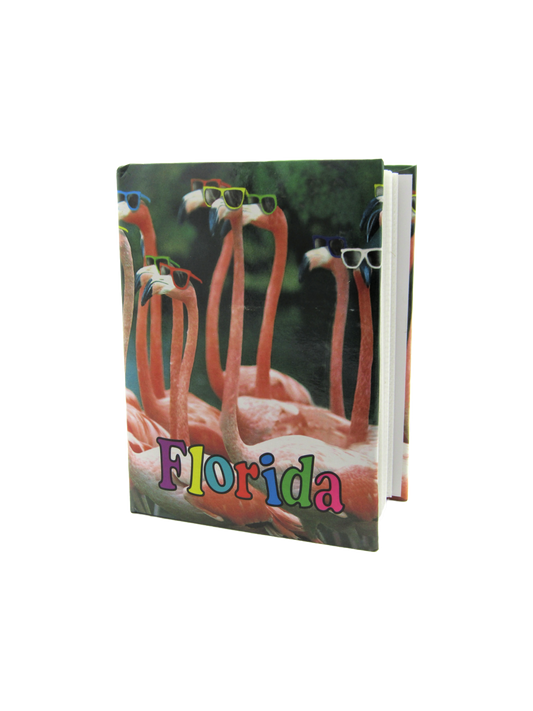 PB0007 FLORIDA FLAMINGOS