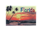 PM0005 FLORIDA SUNSET