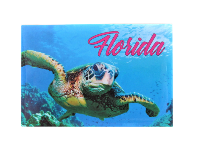 PM0010 FLORIDA TURTLE