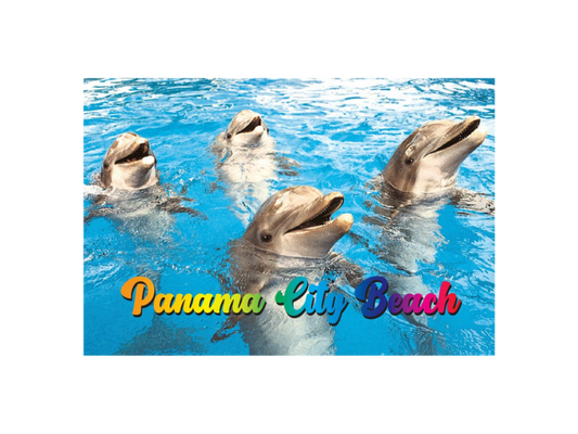 PM0519 PANAMA CITY BEACH DOLPHINS