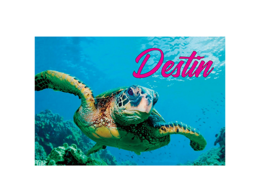 PM0527 DESTIN TURTLE