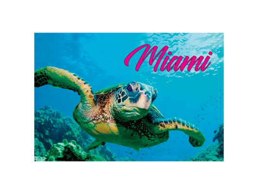 PM0529 MIAMI TURTLE