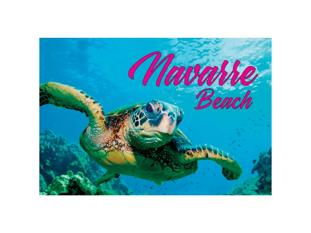 PM0531 NAVARRE BEACH TURTLE
