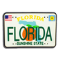 RM0001D FLORIDA LICENSE PLATE